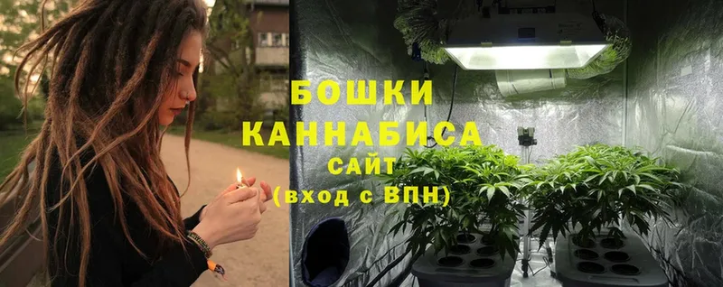 Бошки марихуана THC 21%  Калининец 